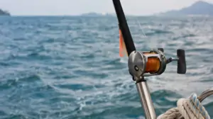 استنلس استیل در دنیای ورزش، از قلاب ماهیگیری تا مشعل المپیک!