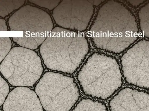 حساس شدگی- حساس شدن